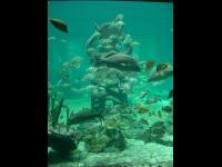CIMG0871