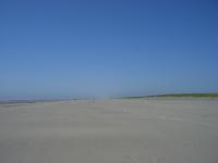cimg0070